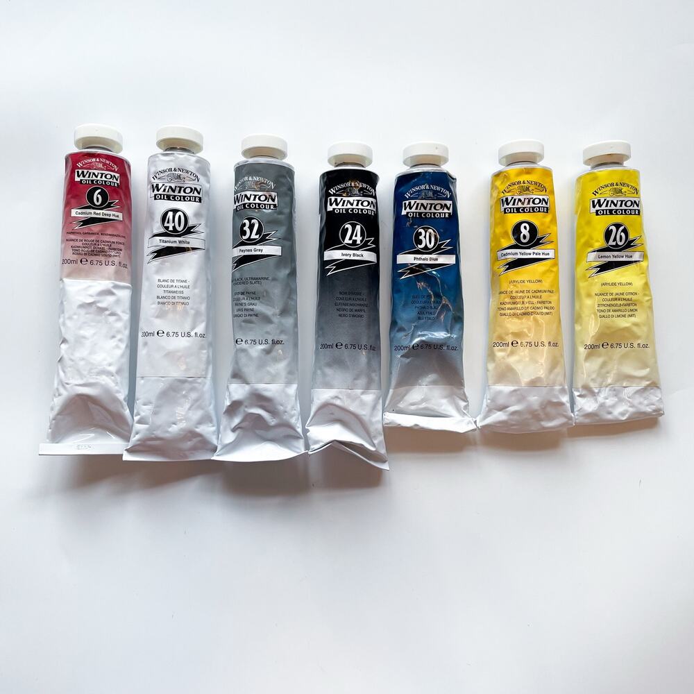 Winsor & Newton Winton Oil Colour Oil Paint Set